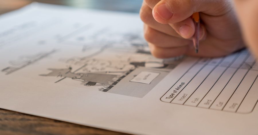 Kumon costs about $140 to $200 a month per subject in 2026