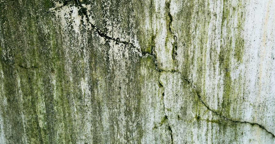 Mold remediation costs $1,200 to $3,750 for most homes in 2026