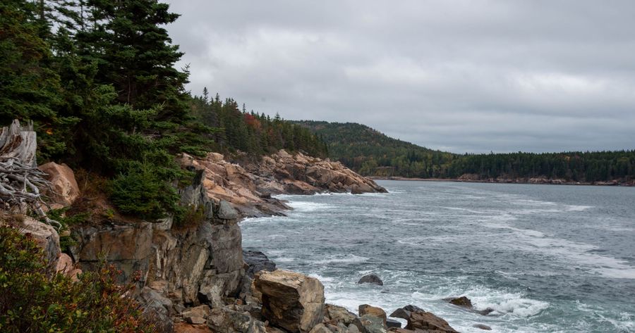 Acadia costs $35 per car
