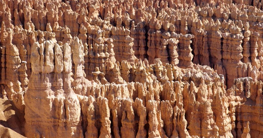 Bryce Canyon costs $35 per car