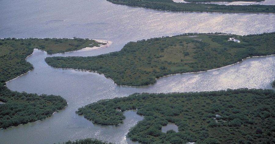 Canaveral costs $25 per car