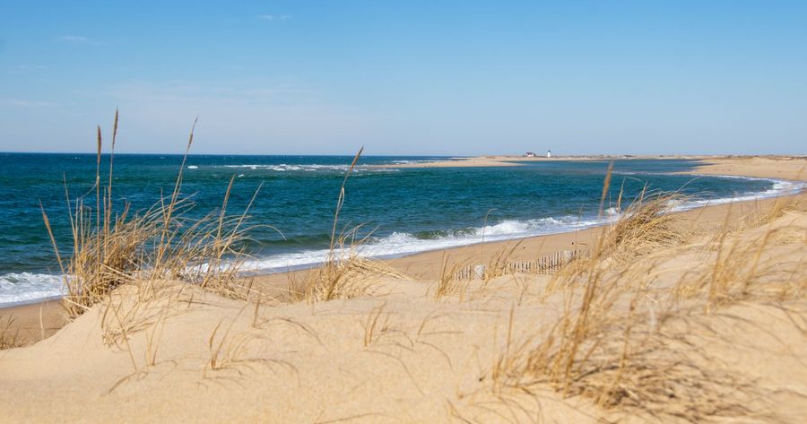 Cape Cod costs $25 per car