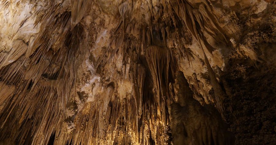 Carlsbad Caverns costs $15 per person