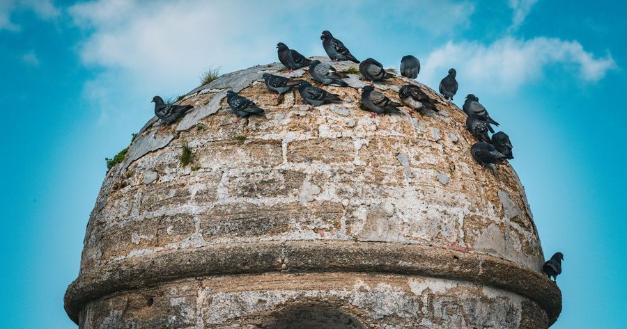Castillo de San Marcos costs $15 per person