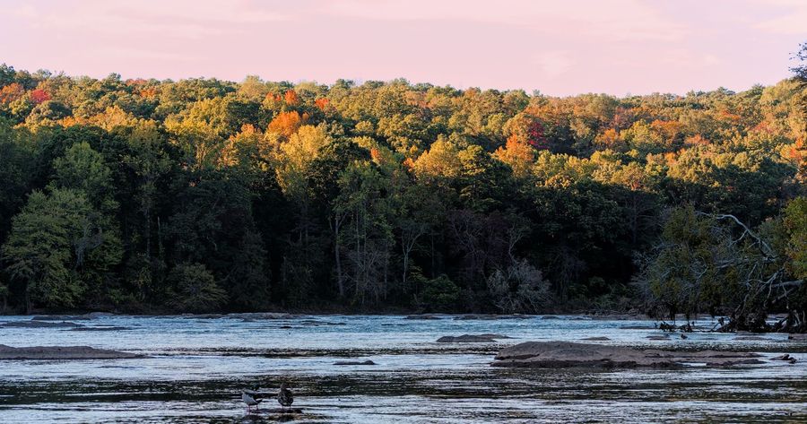 Chattahoochee River costs $5 per car