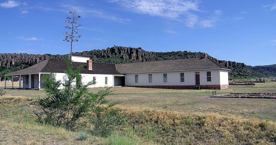 Fort Davis costs $20 per car