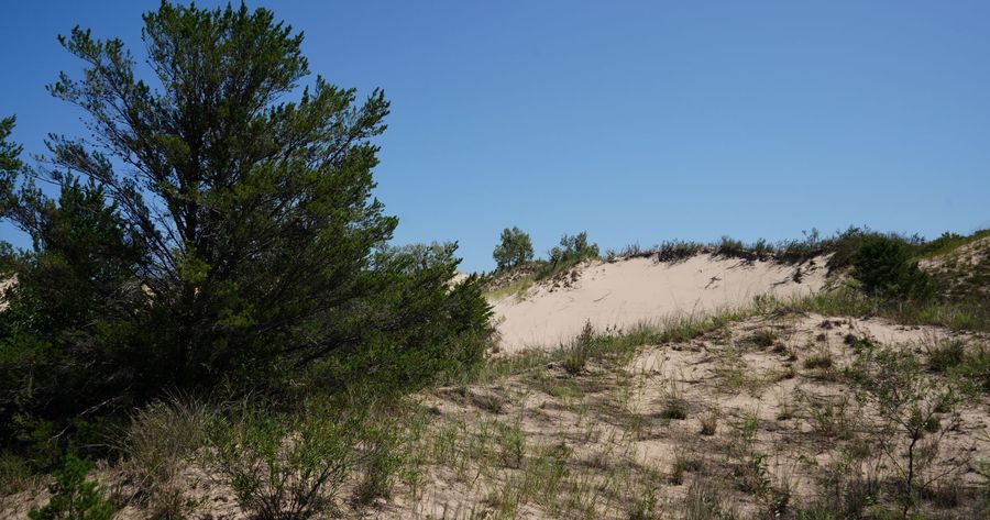 Indiana Dunes costs $25 per car