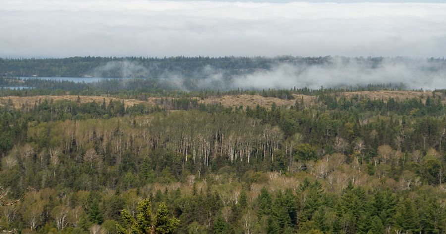 Isle Royale costs $7 per person a day