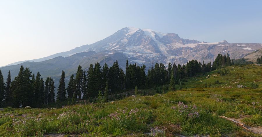 Mount Rainier costs $30 per car