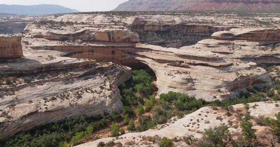 Natural Bridges costs $20 per car