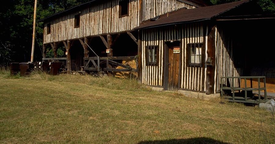 Prince William Forest costs $20 per car