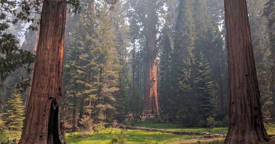 Sequoia and Kings Canyon costs $35 per car