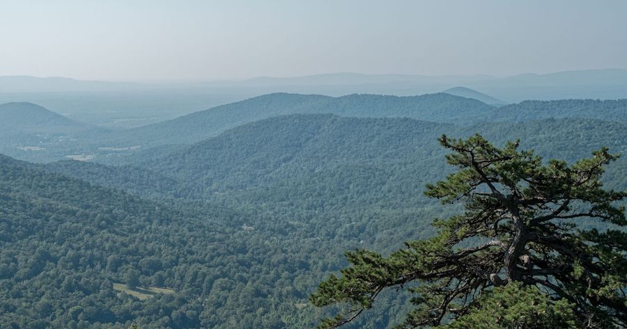 Shenandoah costs $30 per car