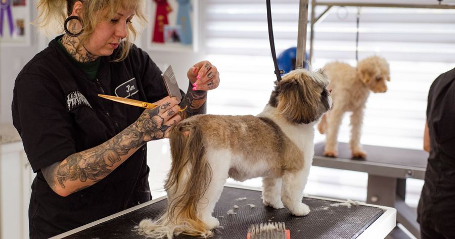 PetSmart grooming costs about $30 to $120 in 2026